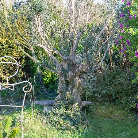 L'eclose Kergoz Bed and breakfast Guilvinec